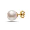 8-8.5mm AA Akoya Cultured Pearl 14k Gold Earrings