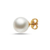 9-10mm Natural Color White South Sea 14k Gold Stud Earrings