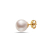 5-5.5mm AA Akoya Cultured Pearl 14k Gold Earrings