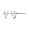 7-7.5mm AA Akoya Cultured Pearl and Diamond 14k White Gold Stud Earrings