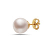 7-7.5mm AA Akoya Cultured Pearl 14k Gold Earrings